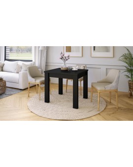 FONTE Crni Mat-  KLASIČNI I TRADICIONALNI STOL ZA BLAGOVAONU/ DNEVNU SOBU  110X75 SKLOPIVI DO 155 CM!
