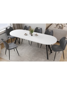 ALMO Bílý mat / černé nohy - OVÁLNÝ ROZKLÁDACÍ STŮL 120-220 cm PRO 10-12 OSOB